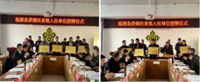 临颍县供销合作社举办首批开放办社入社单位授牌仪式