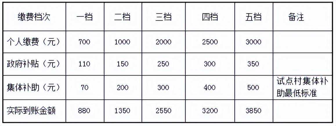 开始缴费！新变化看这里→