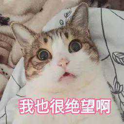 好消息！江西人社微信可以查询了！社保、医保、找工作……你想要的都有