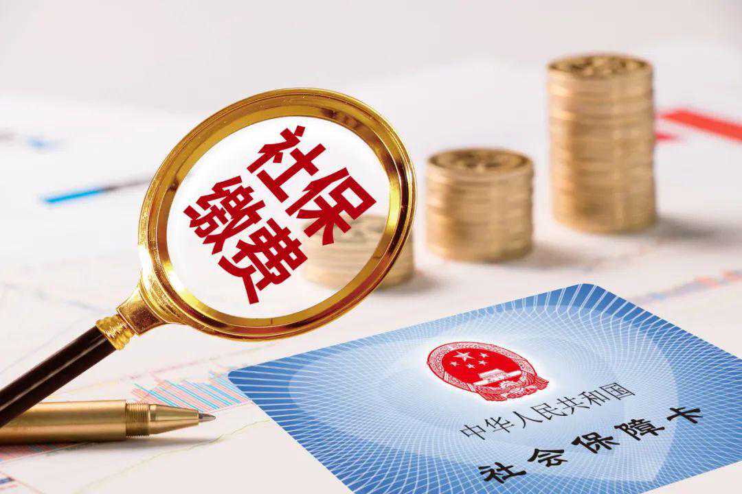 事关社保，今起申报！攻略请收好→| 新闻汇