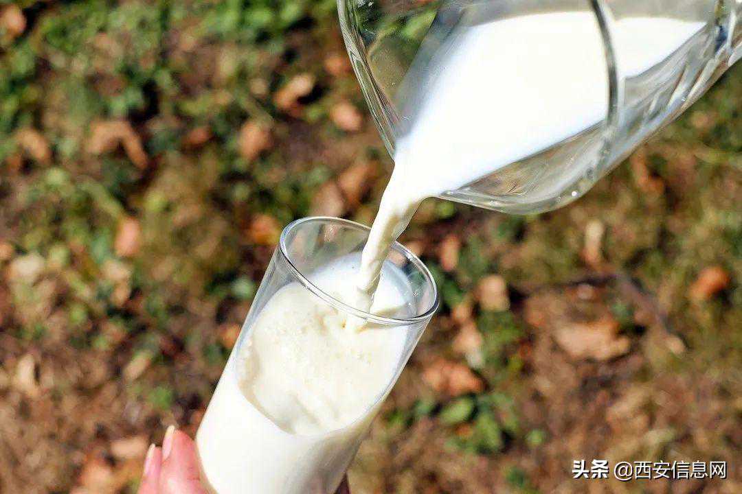 醇鲜然乳业，倾力创新“高端羊奶”
