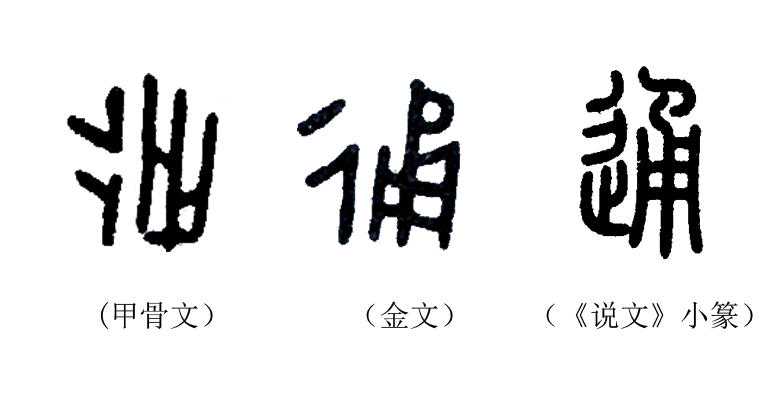 《说文解字》第247课：细说“通”字