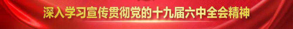 杨大东会见广西诺方储能有限公司考察团