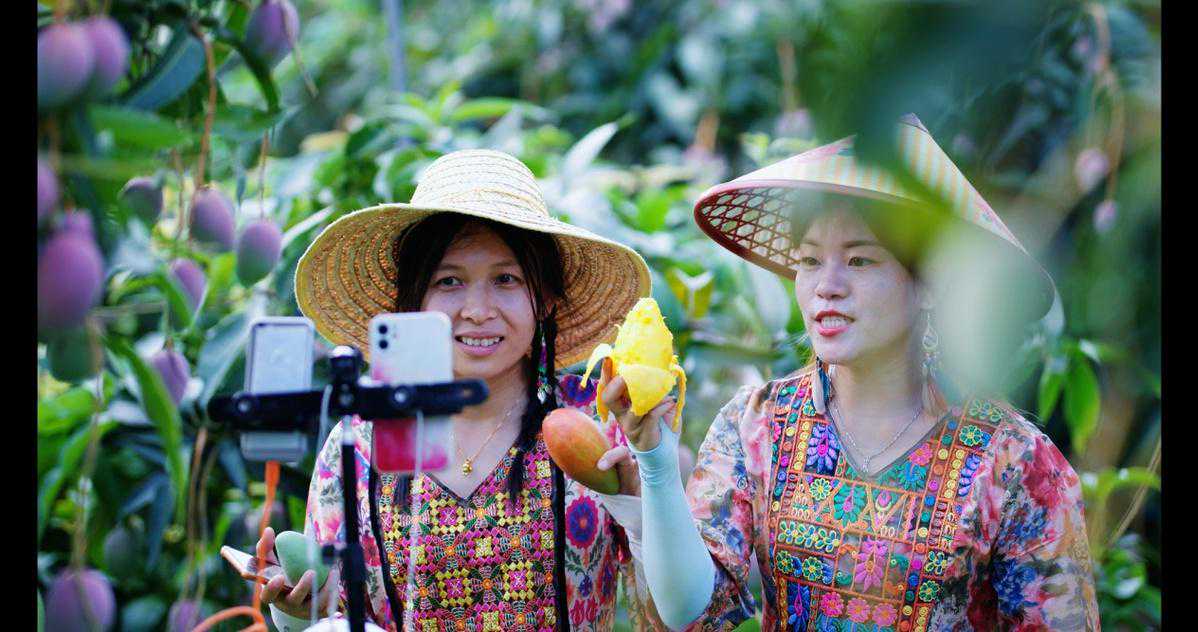 5G直播带货助力百色芒果丰收