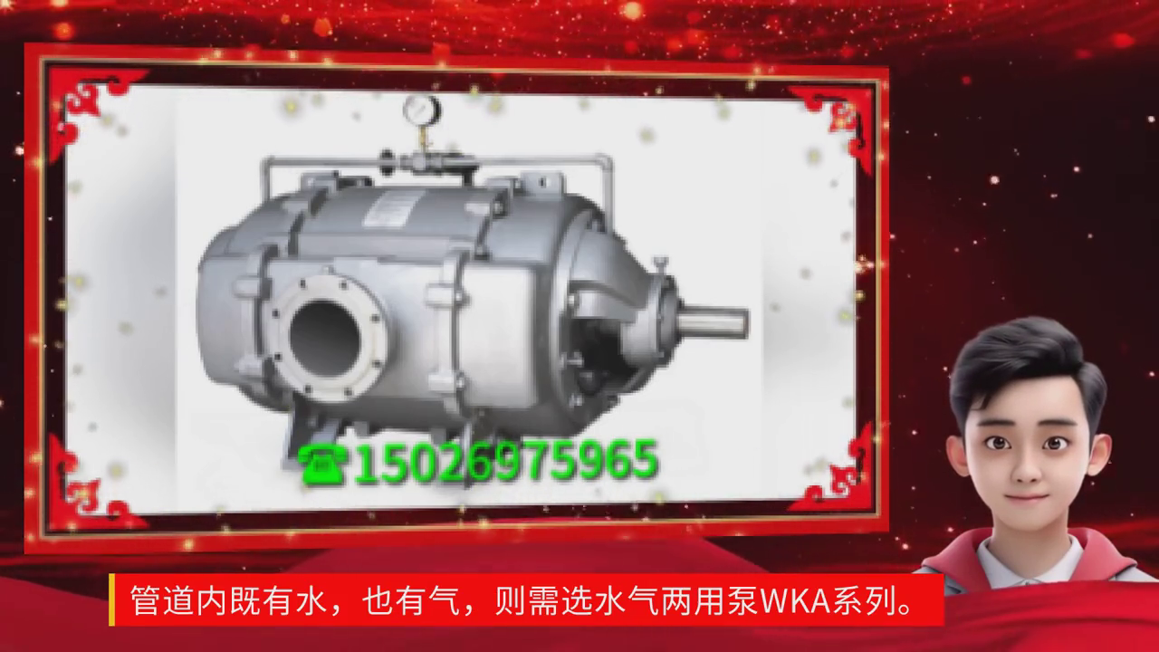 KENFLO肯富来SK(2YK)系列液环真空泵