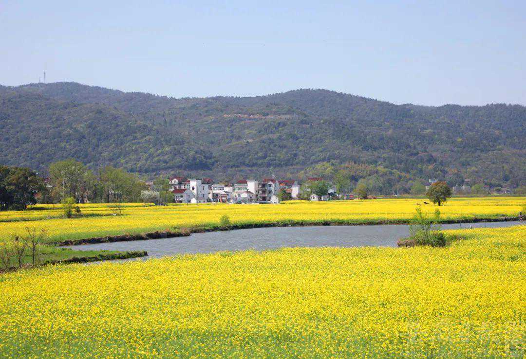 850个！2024年度和美乡村省级中心村建设名单公布