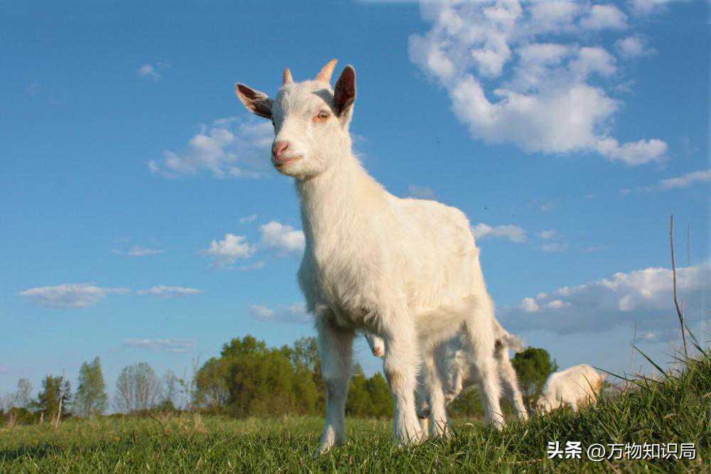 春风送暖 “就”等你来——各地春风行动招聘服务平台来了