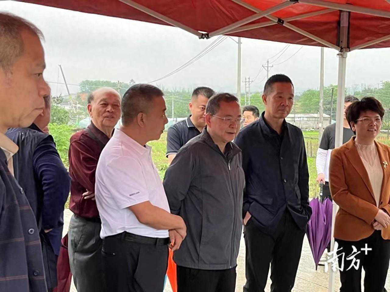 丰顺县外出乡贤、企业家到丰良镇参观考察新落户项目建设并开展植树活动