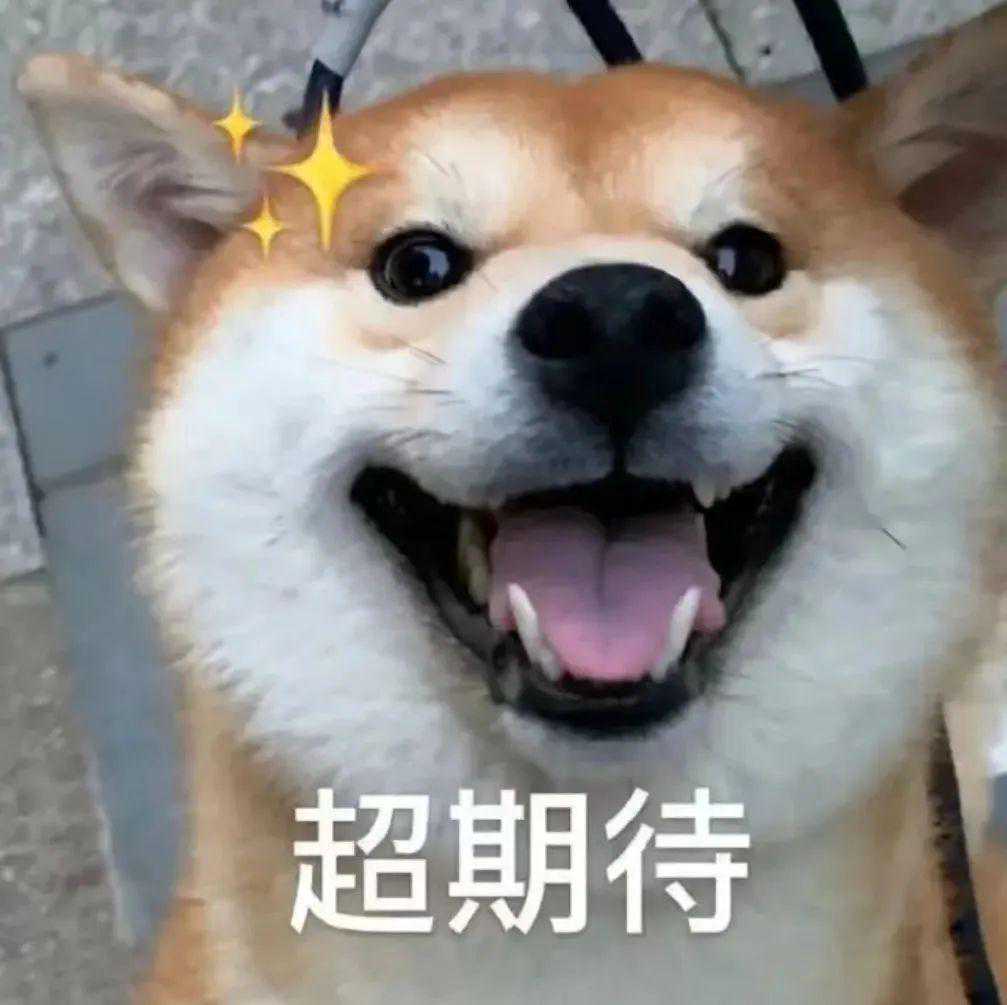 “刘波er宇宙”再更新，蒋诗萌、少爷和我、李逗逗爆笑演绎玛丽苏文学！