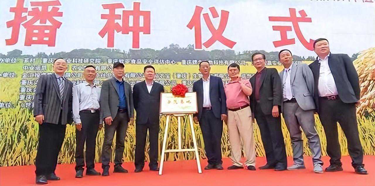 聚焦旱稻产业—2024年锶念旱香米育种种植播种仪式成功举办