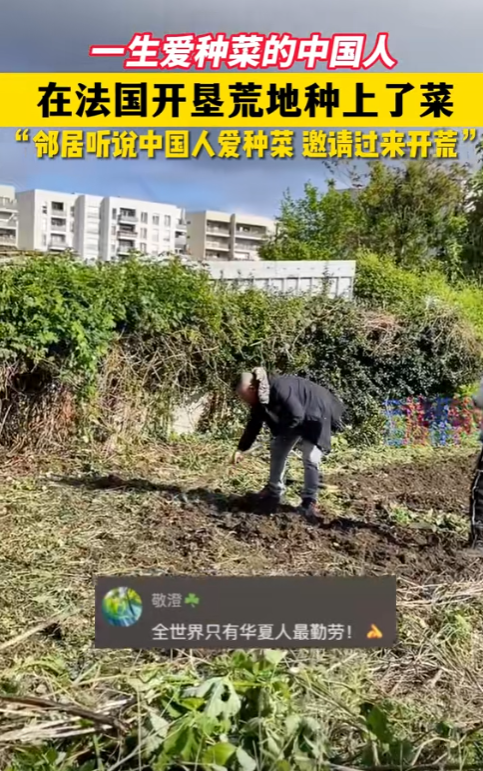 笑不活了！华人在法国开荒种地紧跟热点，评论区全是内蒙古纪云浩