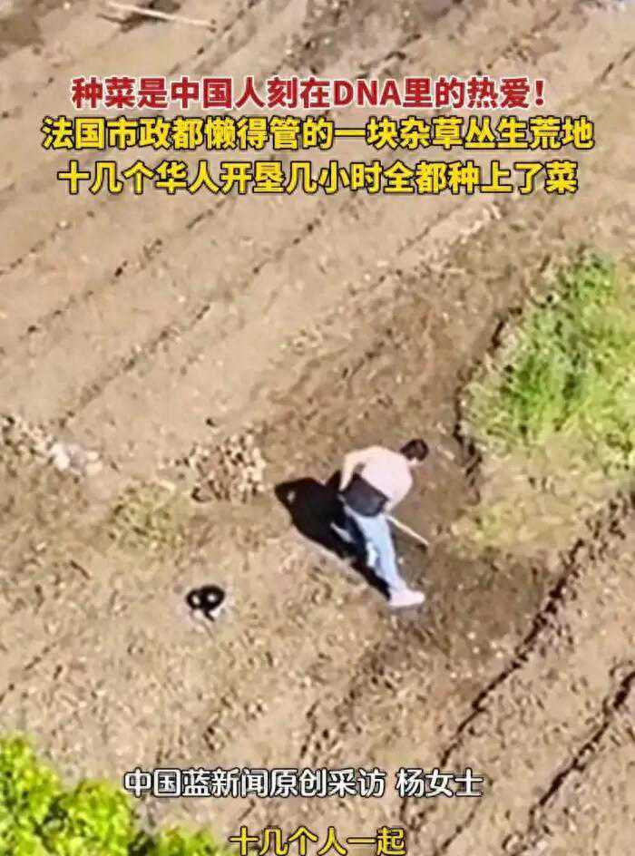 笑不活了！华人在法国开荒种地紧跟热点，评论区全是内蒙古纪云浩