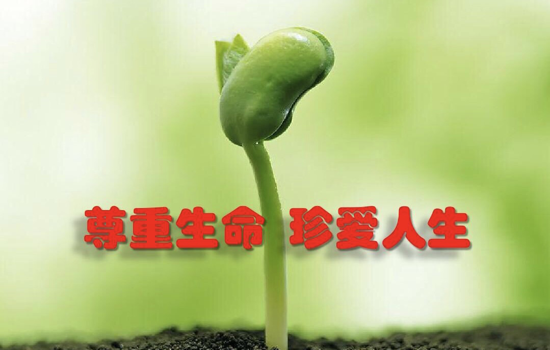 在监狱里，最怕的就是生病
