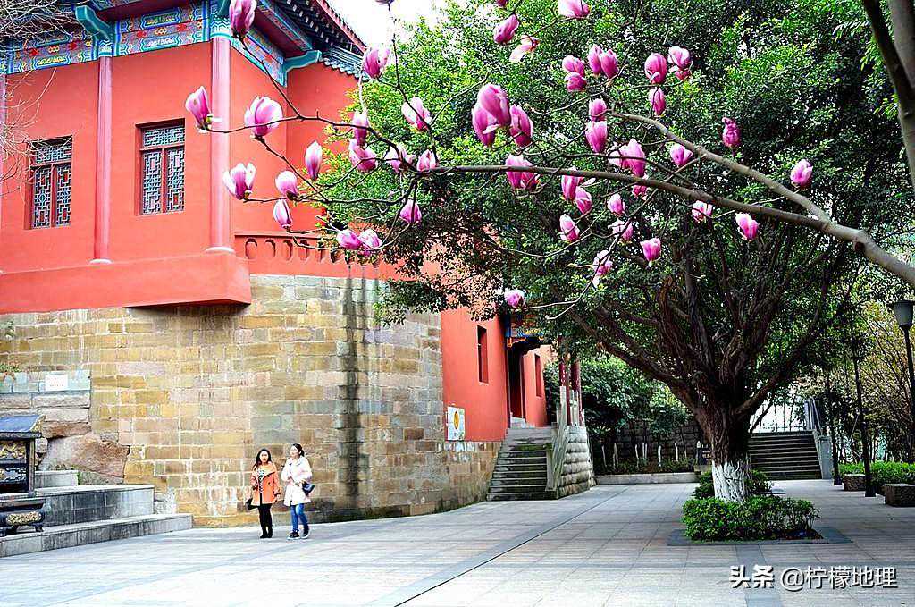 重庆唯一的皇帝陵明玉珍睿陵，为重点文保单位，常有韩国人来祭祖