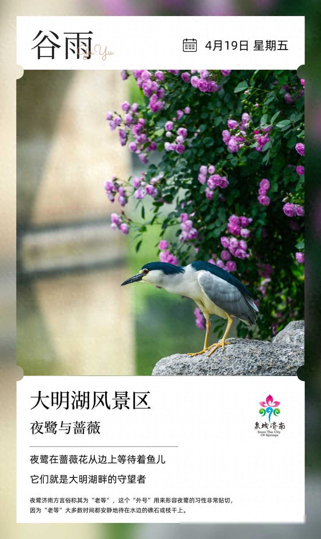 全免费！这5个济南东部公园，20分钟让你回血