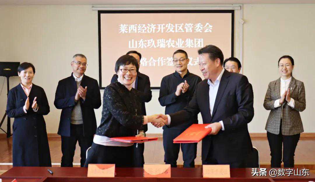 山东玖瑞农业集团签约落户莱西经济开发区
