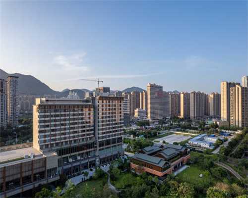 习近平：完整、准确、全面贯彻落实关于做好新时代党的统一战线工作的重要思想